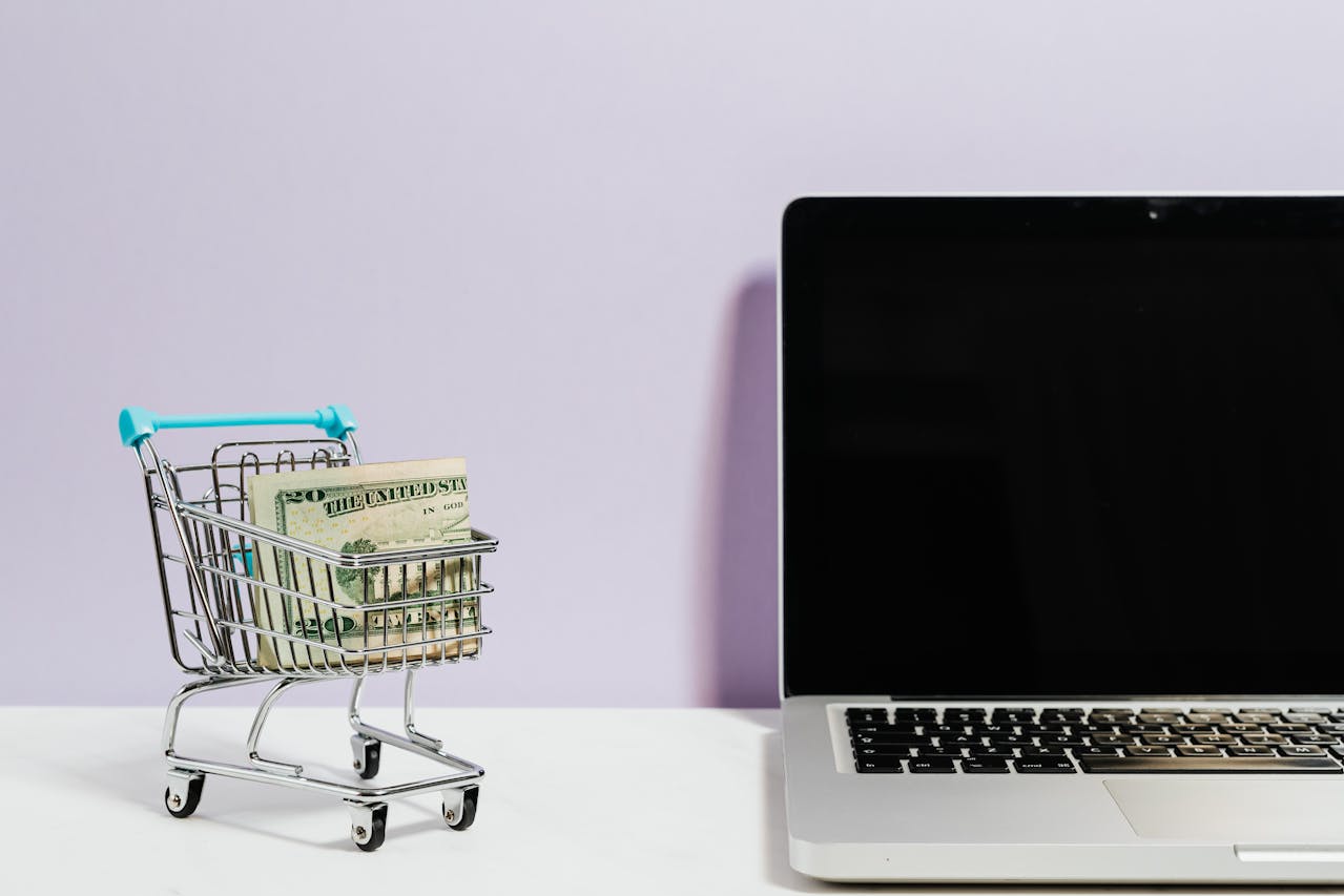Lees meer over het artikel Woolsocks: automatisch geld besparen